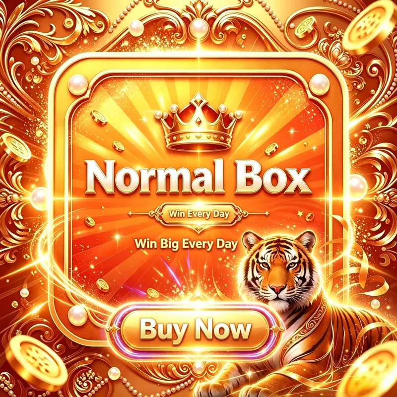 Lucky Surprise Box